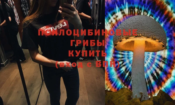 стаф Саяногорск