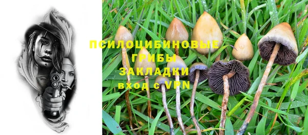 стаф Саяногорск
