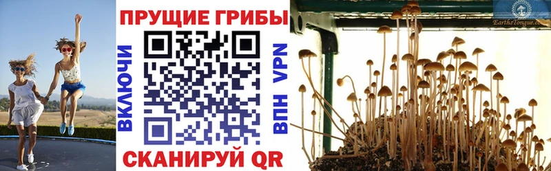 Псилоцибиновые грибы GOLDEN TEACHER Инза